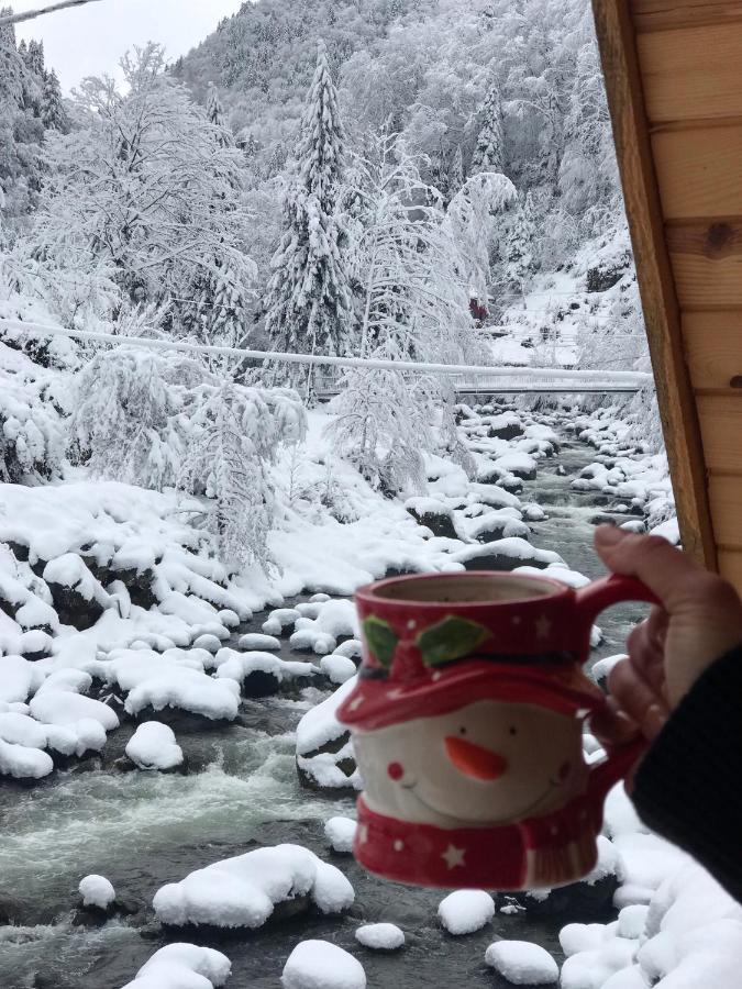 Foga Bungalov Çamlıhemşin Bagian luar foto
